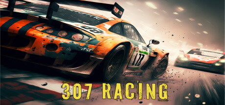 307赛车/307 Racing